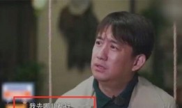 黄磊独家爆料视频大全,揭秘娱乐圈幕后故事