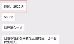 平湖渣男爆料视频最新网站,揭秘网络暴力背后的真相